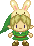 Link with Bunny Hood